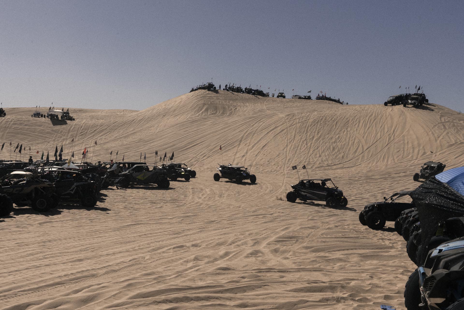 Glamis Polaris Camp RZR 236